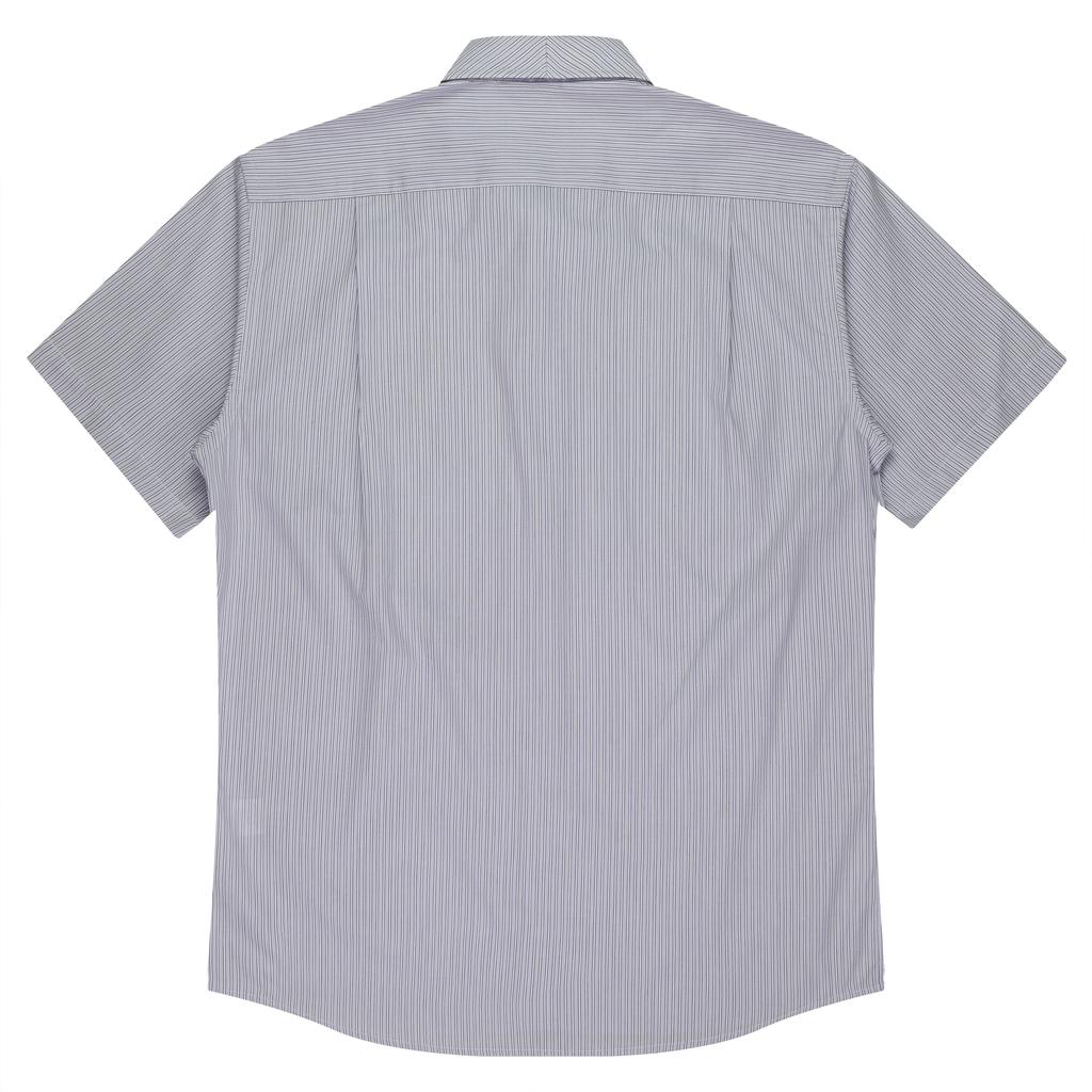 Back - 1906S01195