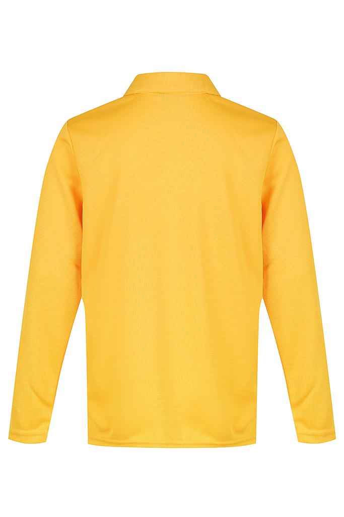 Back View - 3316062