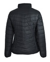 Back View - 2522026