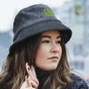 Model - Feature