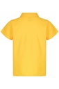 Back View - 3312062