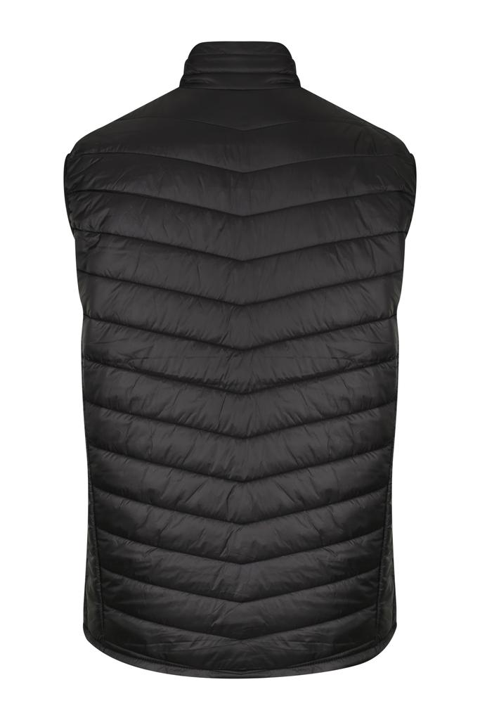 Back View - 1523024